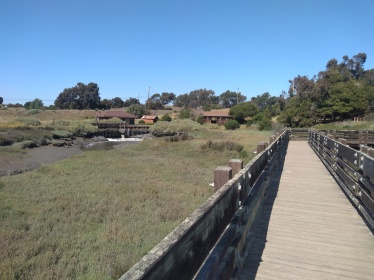 landscape wetland and walkway pier and buildings